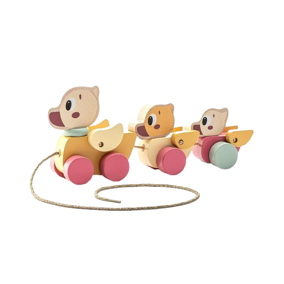 CUBIKA Pastel 15979 Tahací kačenky dřevěné